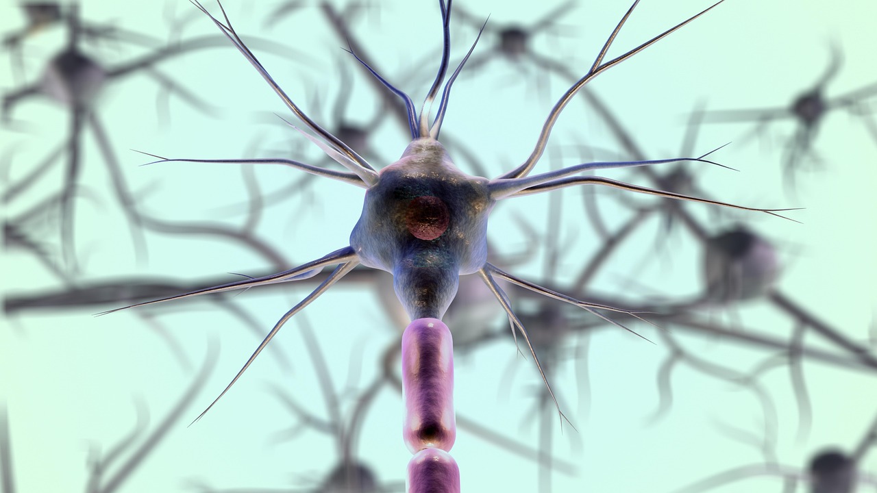Quantum Neural Networks: A Comprehensive Guide